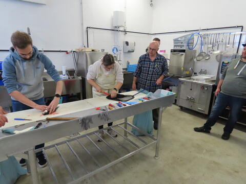 Bei der Angelschein-Ausbildung nehmen Teilnehmer Fische aus