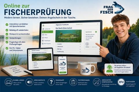 fdf